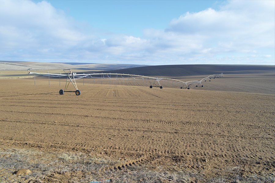 LAND AUCTION - 1025+/- ACRES OFFERED IN 4 TRACTS IN GRANT COUNTY, WASHINGTON